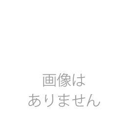 【送料無料】眼科向け薬袋(森のお薬屋さん)　2000枚【デザイン】【印刷】