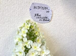紫陽花が色づく季節に思うこと