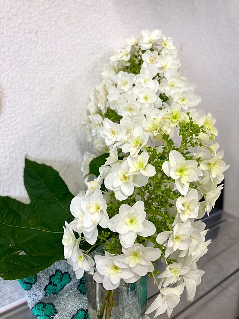 S__11477000_0