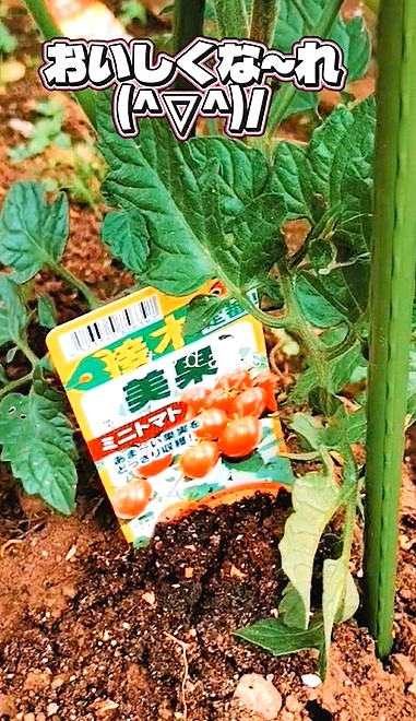 おいしくなれ